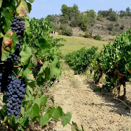 Gite Vigneron Du Domaine D'Alon Magrie Exterior foto