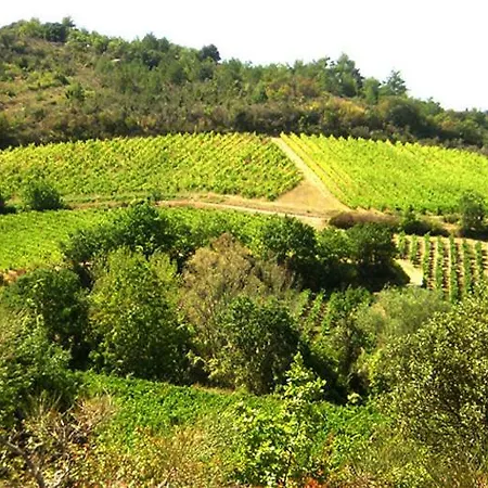 Gite Vigneron Du Domaine D'Alon Magrie Exterior foto