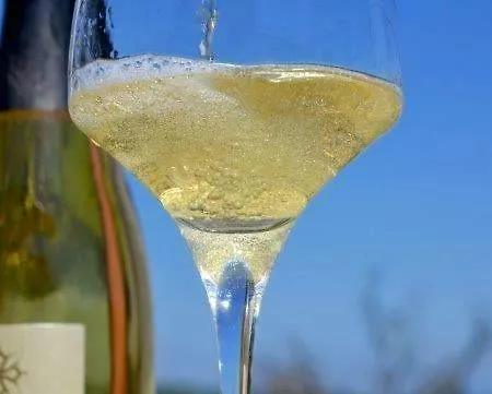 Gite Vigneron Du Domaine D'Alon Magrie Exterior foto