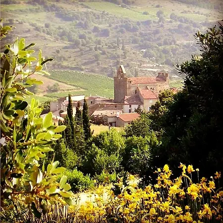 Gite Vigneron Du Domaine D'Alon Magrie Exterior foto