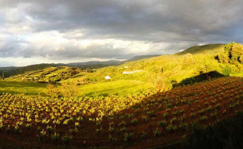 Vigneron Du Domaine D'alon Ferienhaus *
