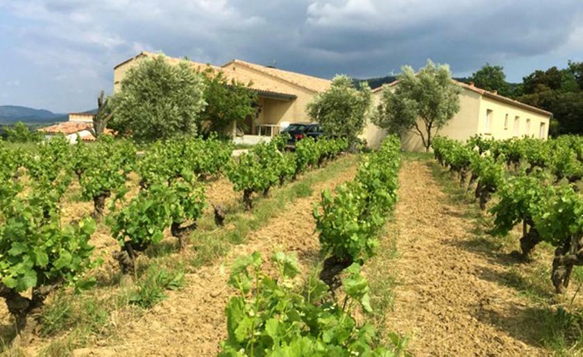 Ferienhaus Vigneron Du Domaine D'alon