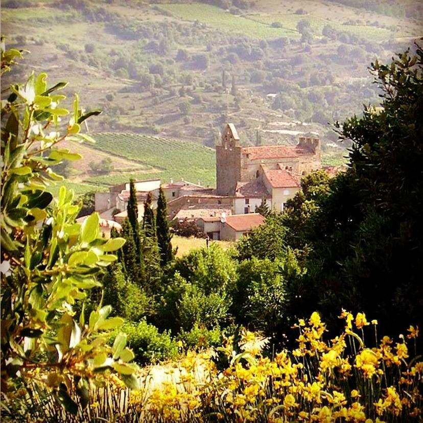 Ferienhaus Vigneron Du Domaine D'alon Magrie