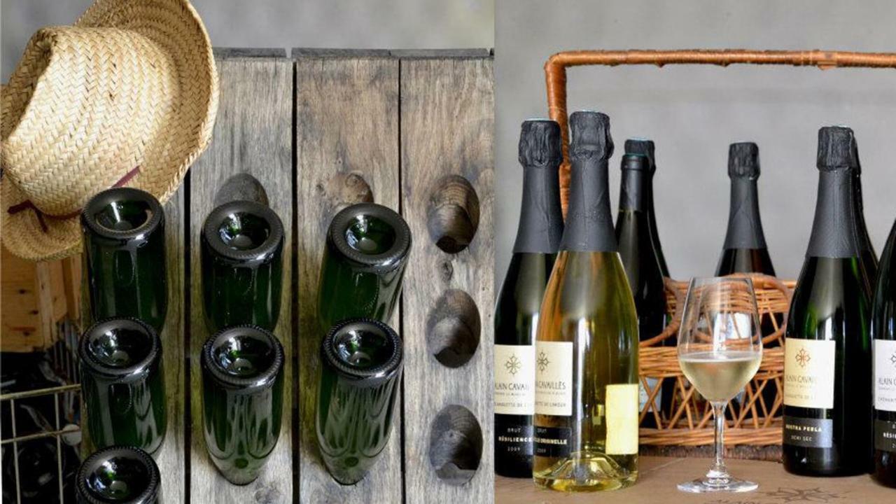 Ferienhaus Vigneron Du Domaine D'alon