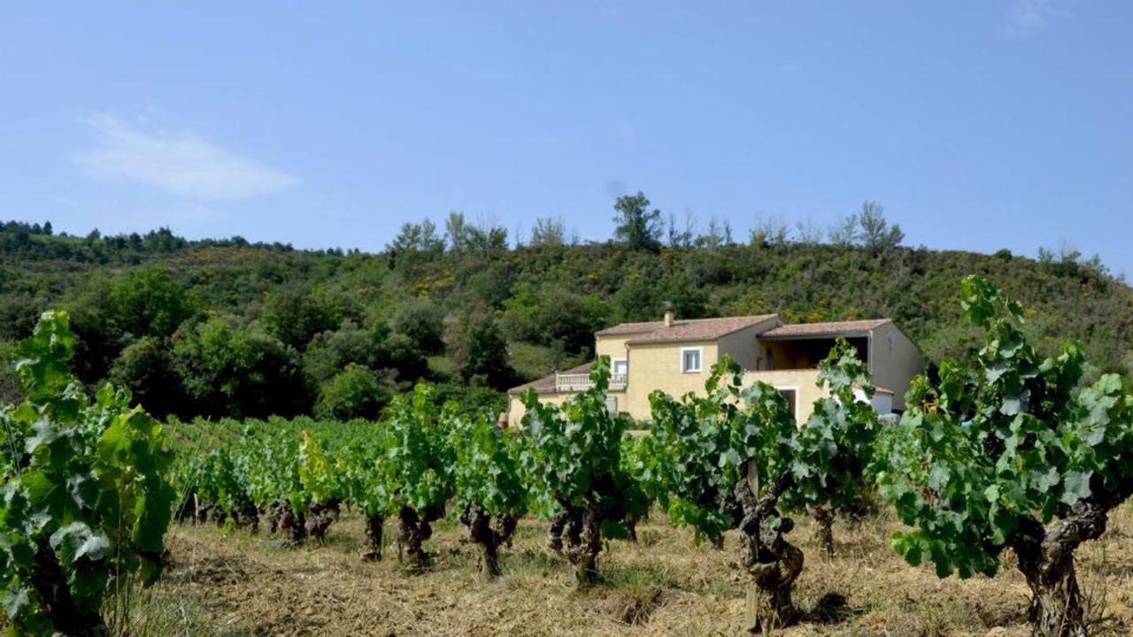 Vigneron Du Domaine D'alon